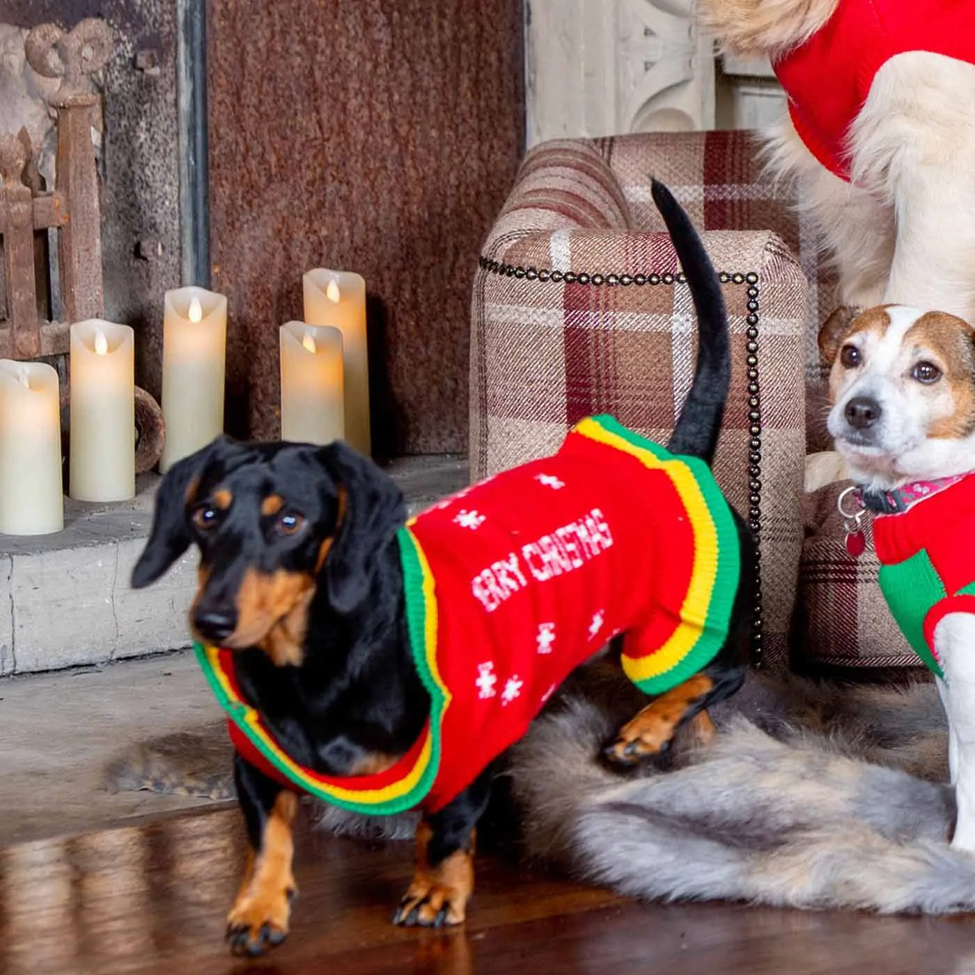 Christmas Cracker Jumper