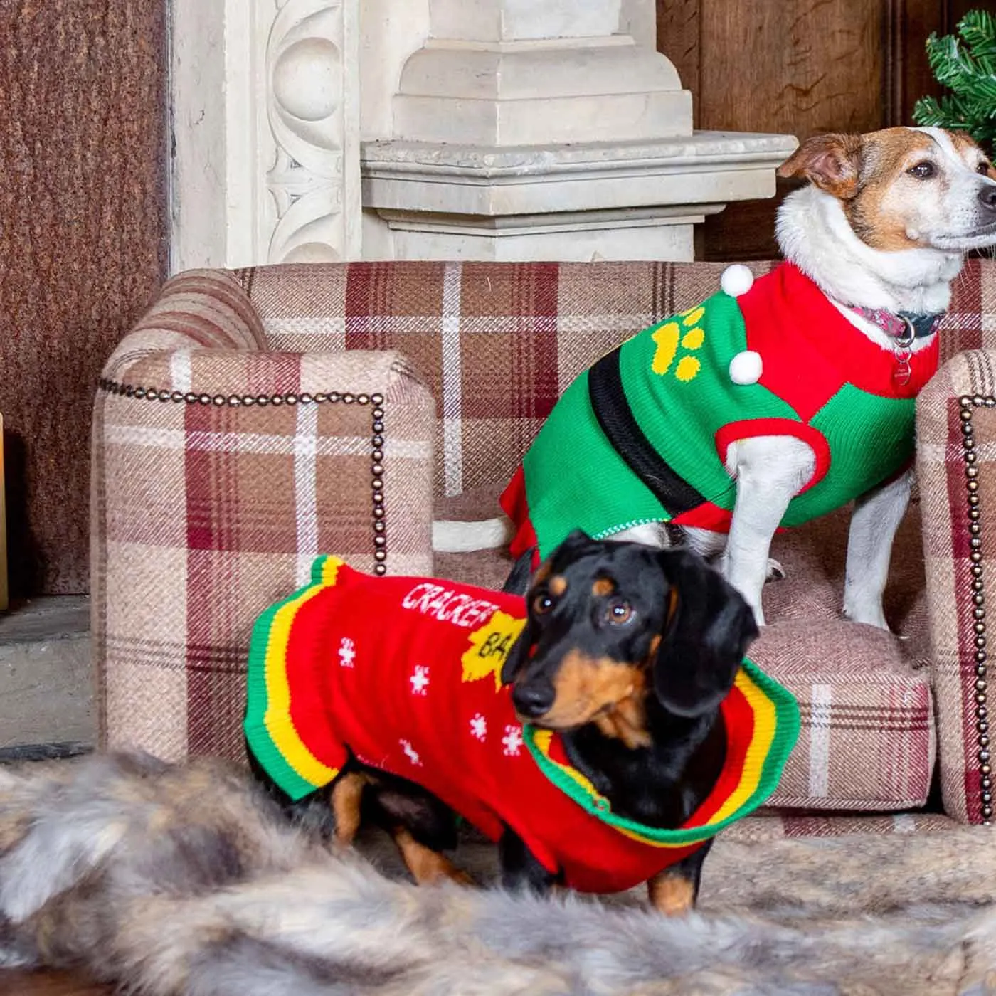 Christmas Cracker Jumper