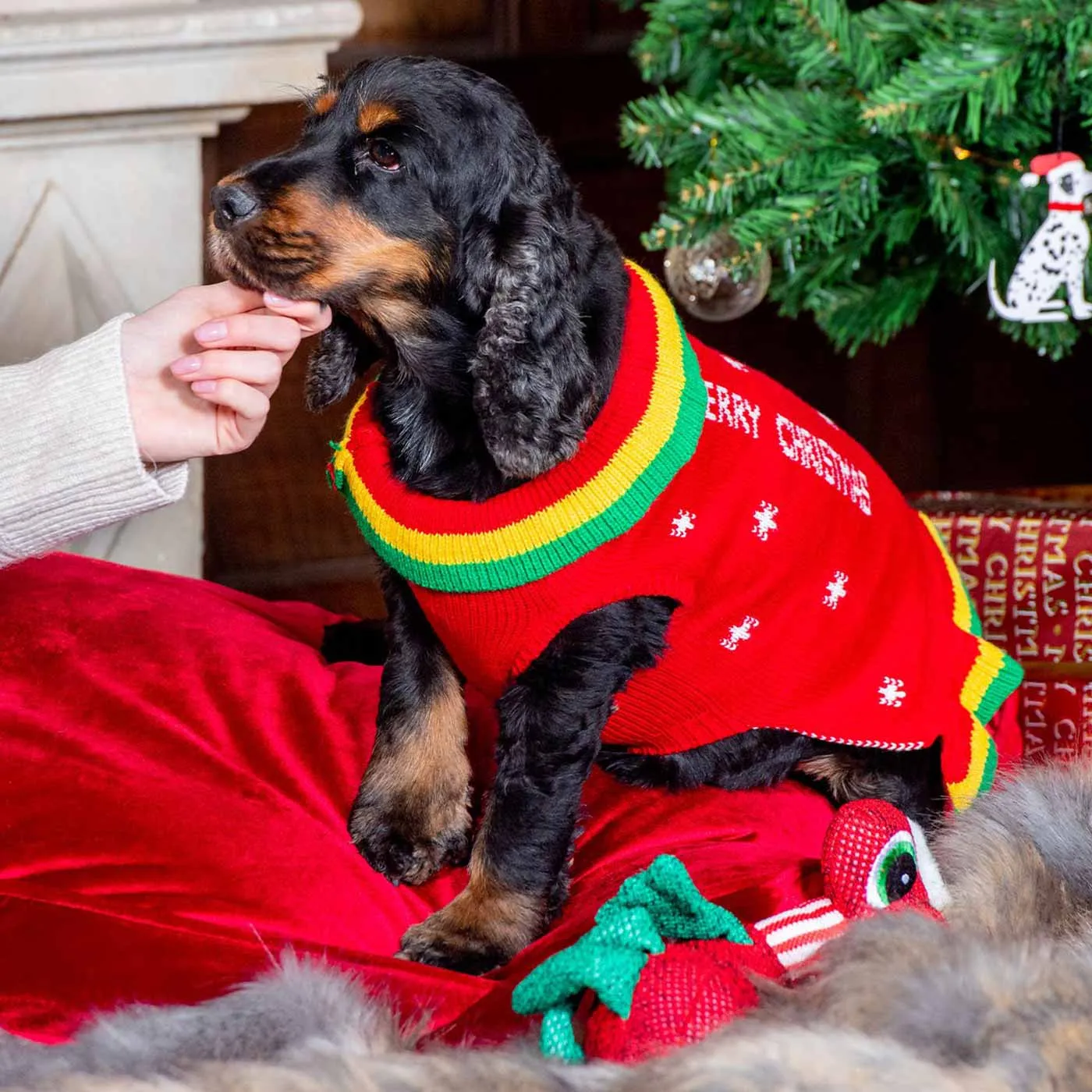 Christmas Cracker Jumper