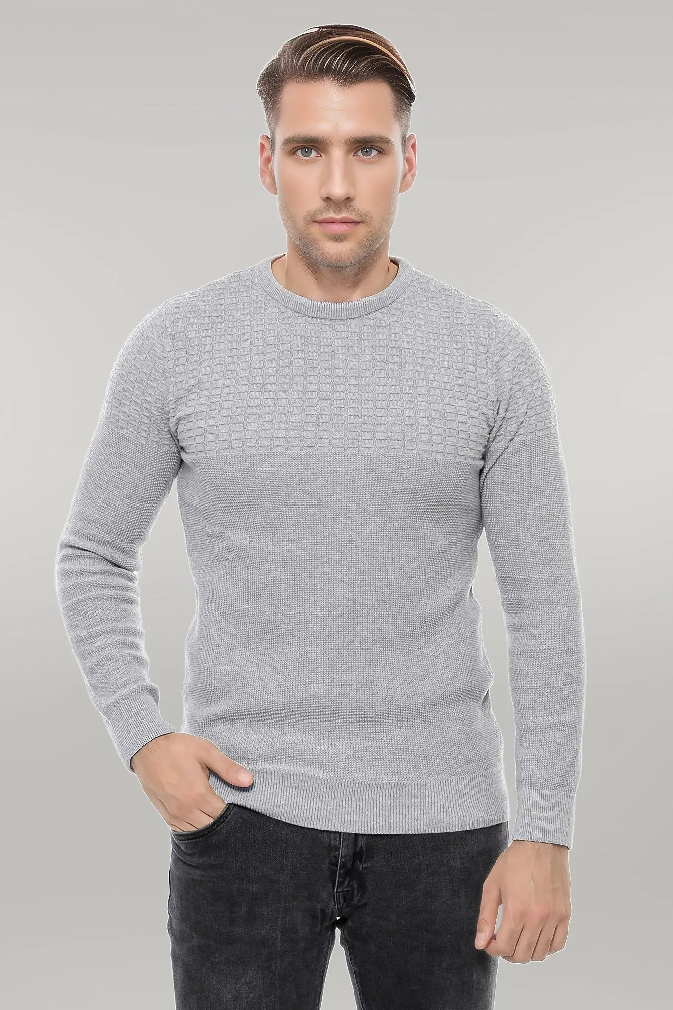 Circle Neck Patterned Light Grey Men Knitwear - Wessi