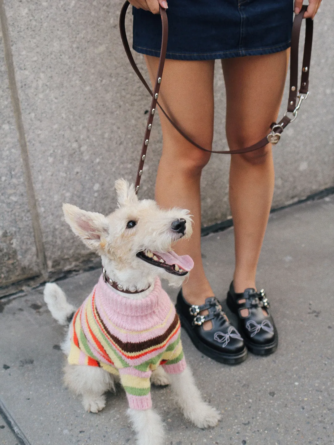 Dog Sweater - Pink Stripe