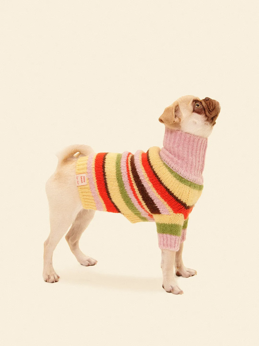 Dog Sweater - Pink Stripe