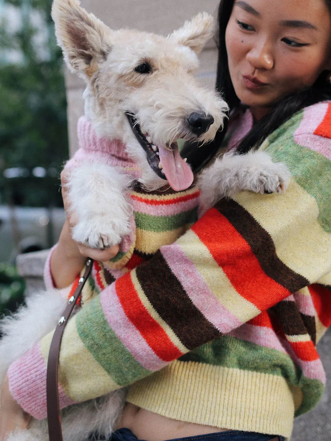 Dog Sweater - Pink Stripe