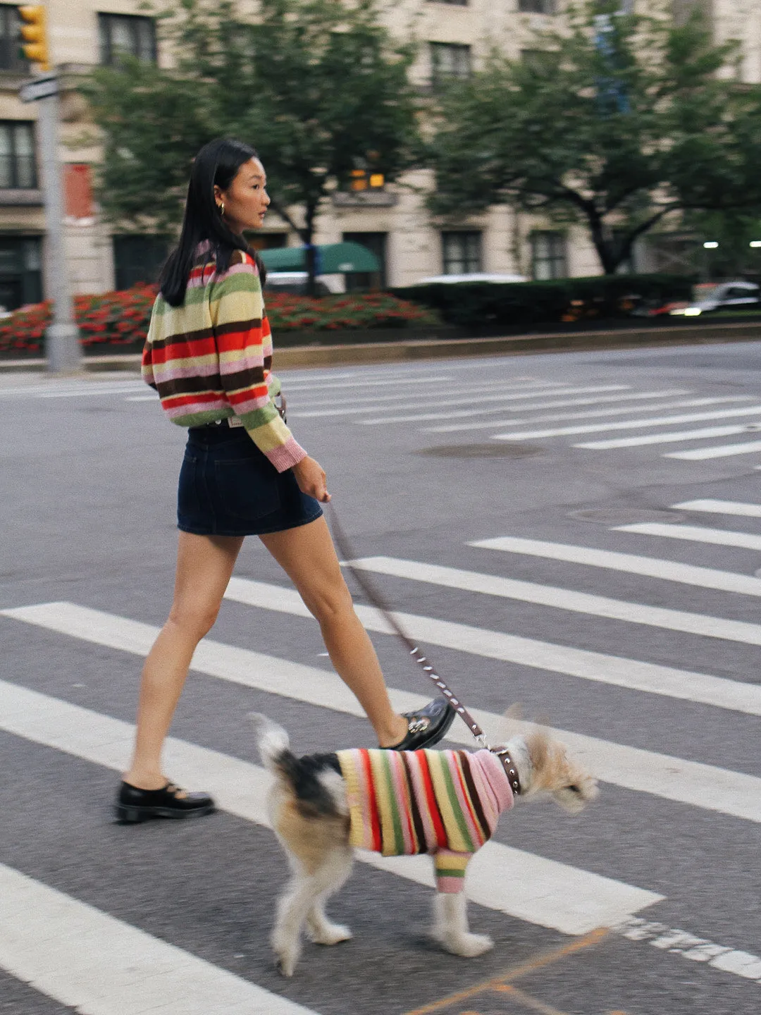 Dog Sweater - Pink Stripe