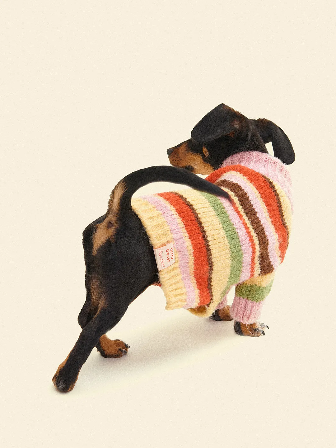 Dog Sweater - Pink Stripe