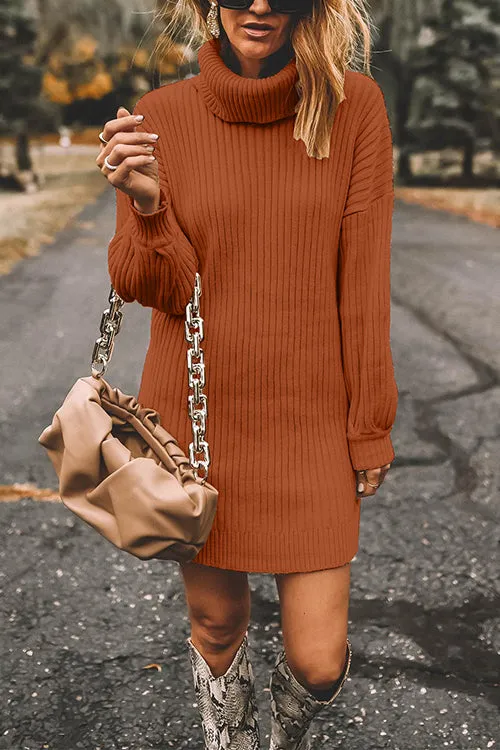 Febedress Turtleneck Long Sleeves Ribbed Knit Sweater Dress(in 7 Colors!)