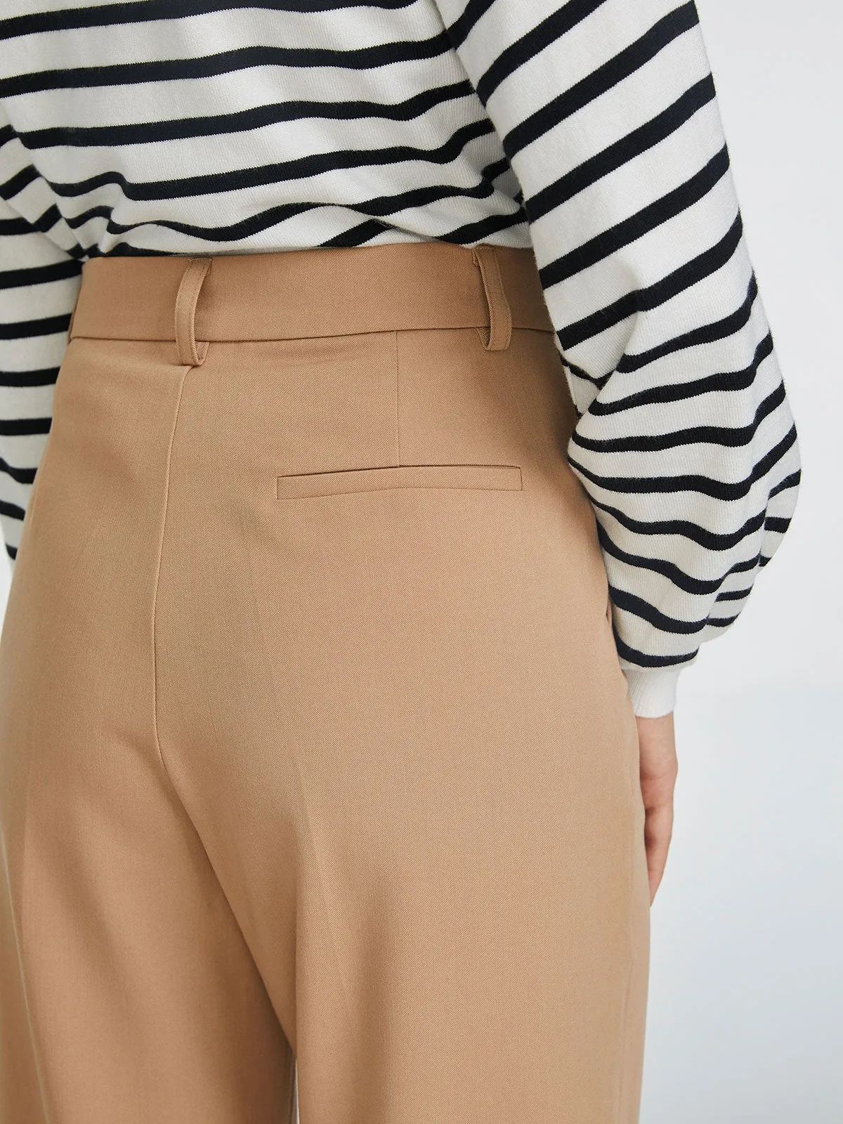 High Waisted Pleated Wide Leg Pant