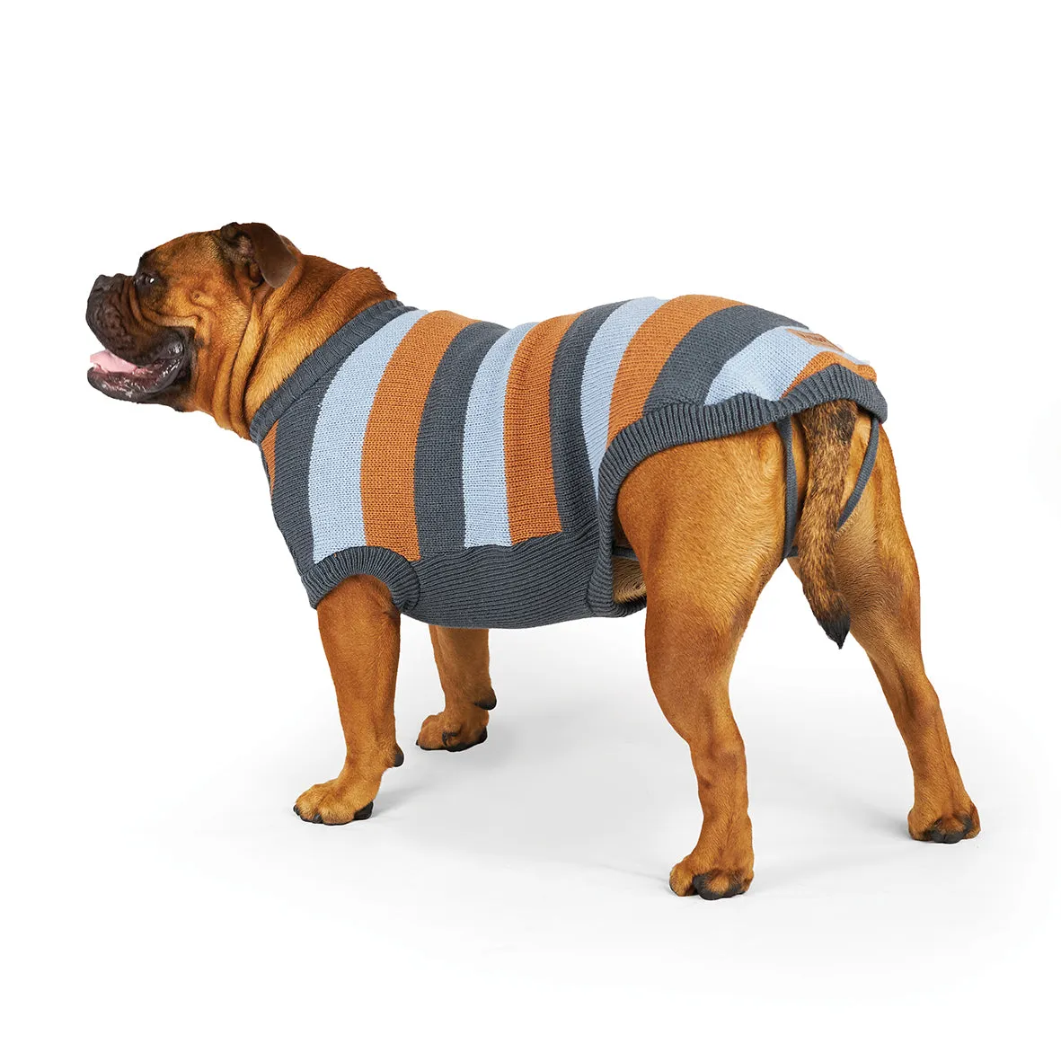 Kazoo Apparel Bumble Dog Jumper Seagrass Extra Extra Small ***