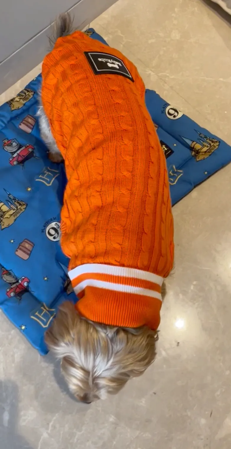 Knit Me Up Dog Sweater- Orange