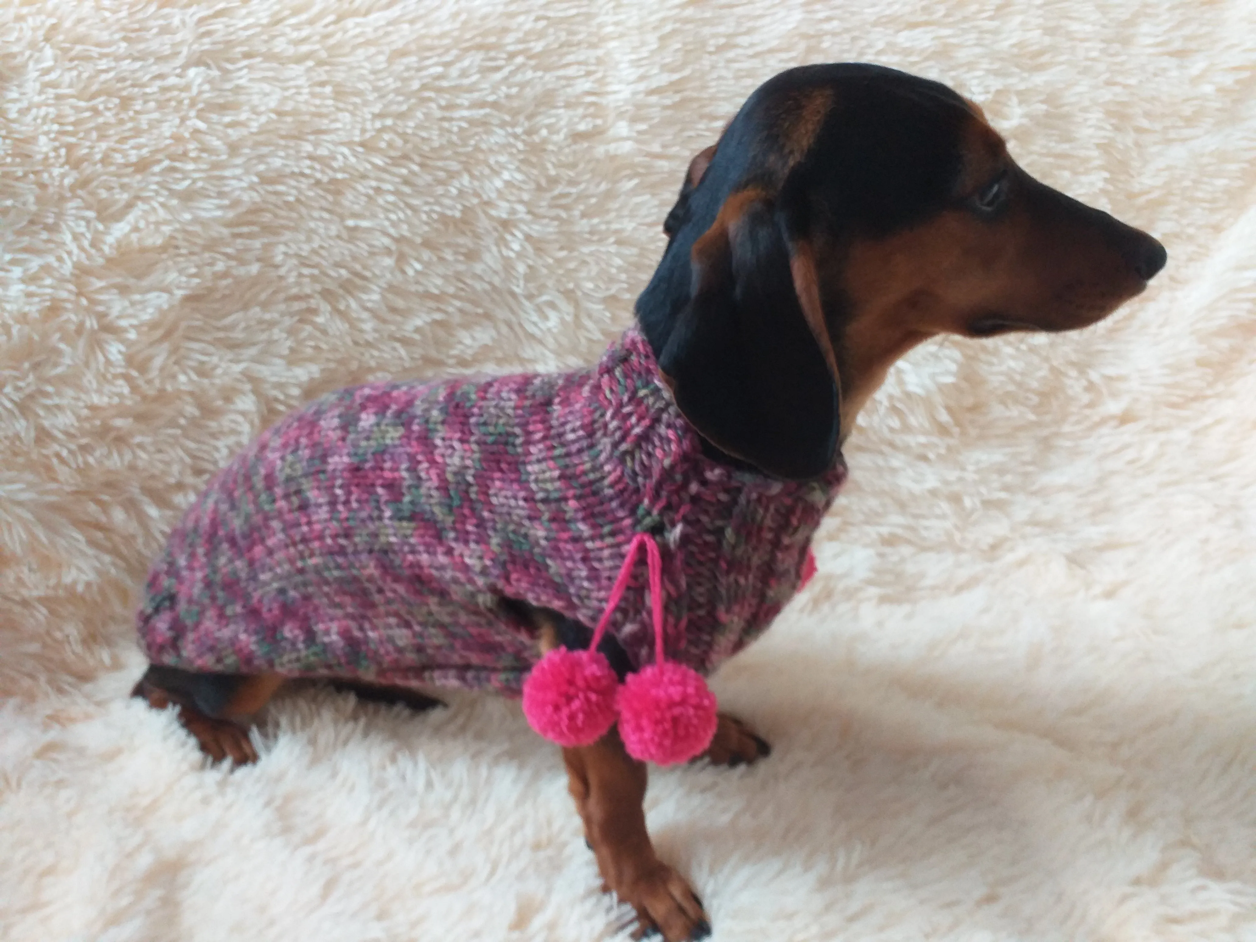 Wool aran sweater for mini dachshund or small dog, dachshund puppy sweater, terrier sweater, small dog sweater